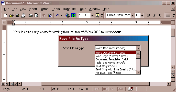 Typical Save File As Type invitation